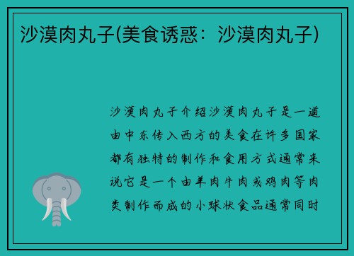 沙漠肉丸子(美食诱惑：沙漠肉丸子)